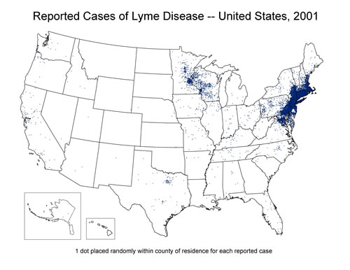 Lyme map